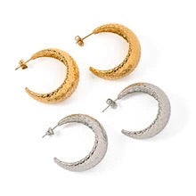 Fish Scale C-Shape Earrings