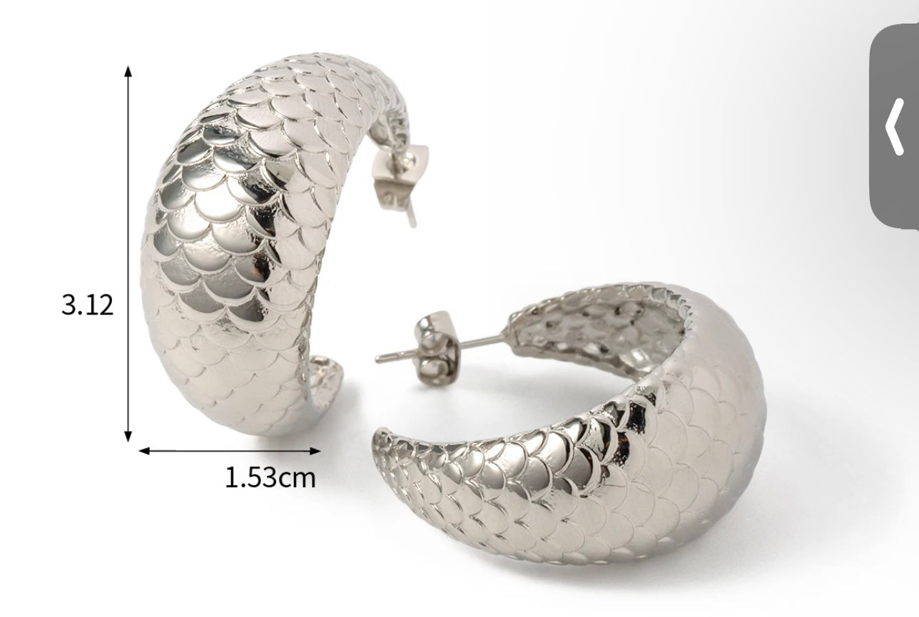 Fish Scale C-Shape Earrings